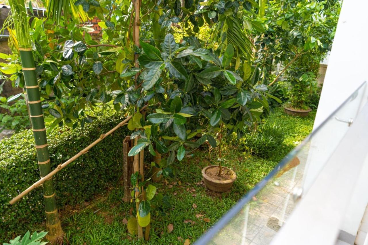 Chi Thanh Villa Hội An Kültér fotó
